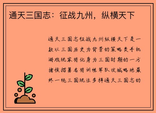 通天三国志：征战九州，纵横天下