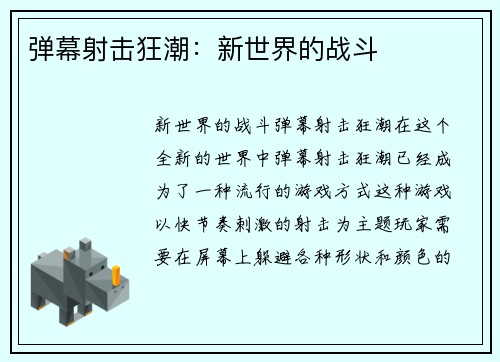 弹幕射击狂潮：新世界的战斗